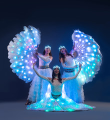Showgirls in fancy dresses view