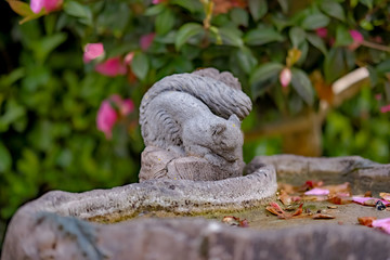 Close up of ornate and stone carved squirrel on a concrete bird bath in a countryside garden