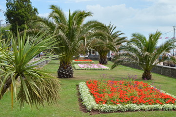 Exotic gardens, Torquay, Devon, England