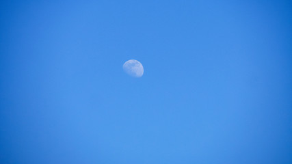 Moon in the blue sky. Large white moon on a clear blue sky without clouds in the daytime, sunny day time. Closeup. Abstract background. The concept of cosmic bodies and planets. 