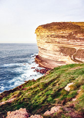 coast full of greenery by the sea