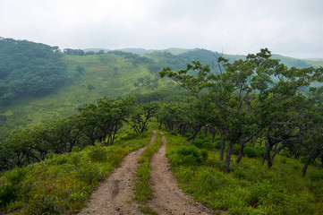 The road in the green hills. Sea bay in the sea of Japan surrounded by green hills by day.