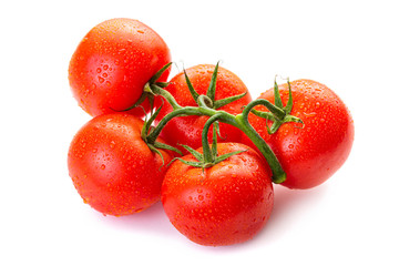 A bunch of ripe tomatoes in a drop of dew. Isolate on white background