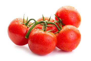 A bunch of ripe tomatoes in a drop of dew. Isolate on white background