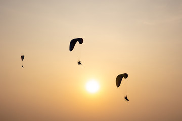 Silhouette Paramotor team over sky againt sen set © naraichal