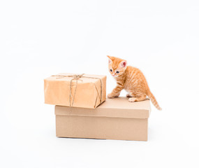 Cute red kitten sits on brown kraft box on white background