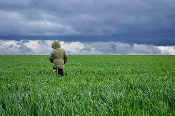 A gray stormy sky above a green field and the boy wanders alone. A child walks alone in a field during a thunderstorm.