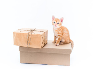 Cute red kitten sits on brown kraft box on white background
