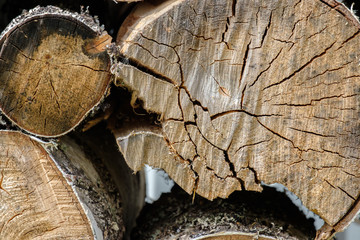 View of the ends of sawn birch logs lying on top of each other. Wood harvested for the furnace and...