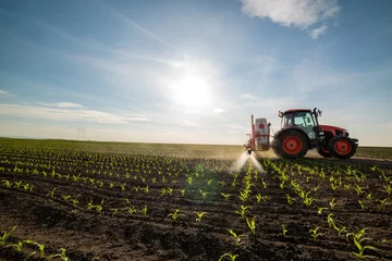 Photo sur Plexiglas Tracteur Tracteur pulvérisant du jeune maïs avec des pesticides 1