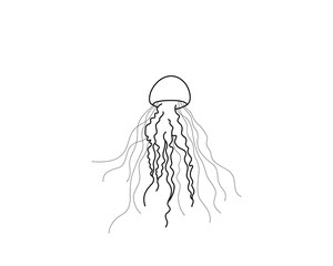 Black line drawing of a Jellyfish, simple vector illustration
