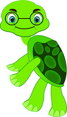 funny turtle cartoon illustration