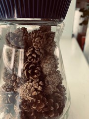 coffee beans and chocolate