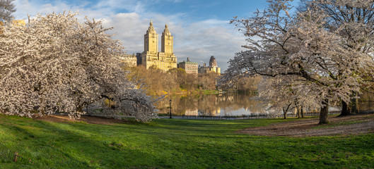 Obraz premium Central Park in spring