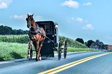 Rolgordijnen Amish horse and buggy on a rural Pennsylvania farm road.  © Ken