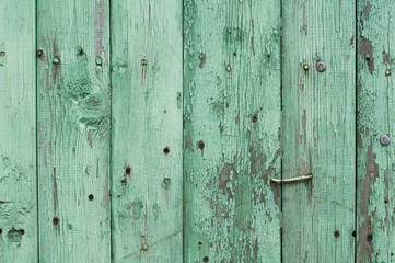 Wooden old green fence background