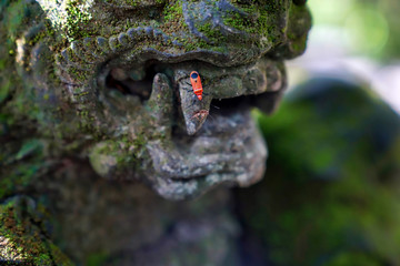 insects crawl on a stone statue of a lion overgrown with moss