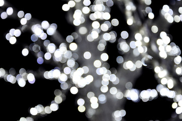 Pic of lamping on the tree with blur filter
