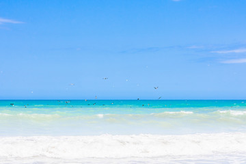 tropical beach with blue sky