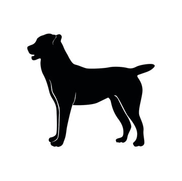 Vector silhouette of a black Labrador or Alabai dog on a white isolated background. Use as logo, emblem for veterinary clinic, nursery.