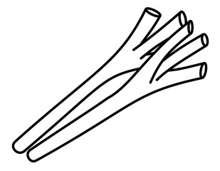 長ネギ２(線画)