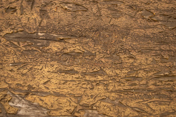 Old wooden surface with traces of paint.