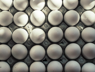 white chicken eggs in paper a tray.