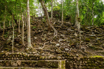 Detalle de ruinas y árboles en Zona Arqueológica de Calakmul, Campeche, México.