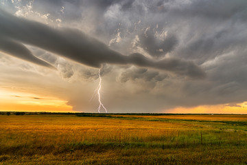 storm clouds and lightning over a Texas field © Wade