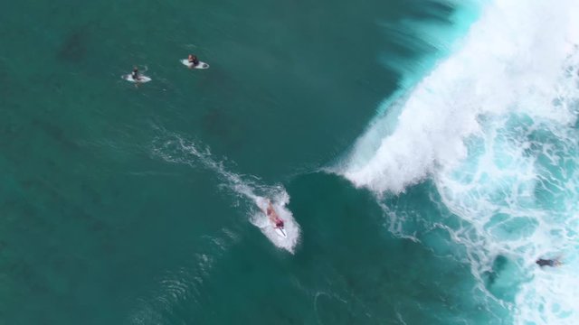 AERIAL, TOP DOWN: Flying Above A Female Surfer Catching A Wave And Riding It Past Other Surfers. Cinematic Shot Of A Surfer Catching A Big Ocean Wave While Others Paddle Out To The Line Up Spot.