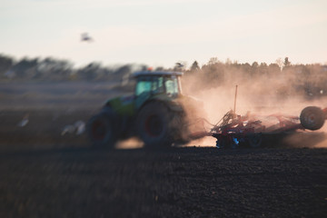 Fototapeta premium Tractor with a disc harrow system harrows the cultivated farm field, process of harrowing and preparing the soil, tractor seeding crops at field on sunset, agriculture concept, harrow machine at work
