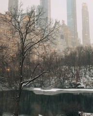 winter in the city