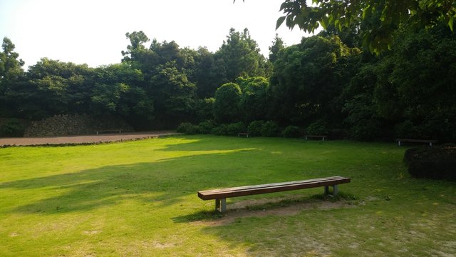 High Angle View Of Bench In Park