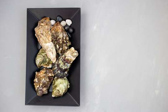 Fresh closed appetizer oyster top food