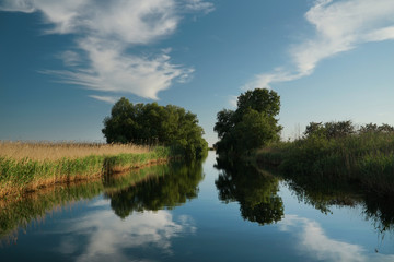 Reflections in the Danube Delta. River channel near Crișan, Romania.   