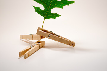 Clothes peg lock with Mable leaf