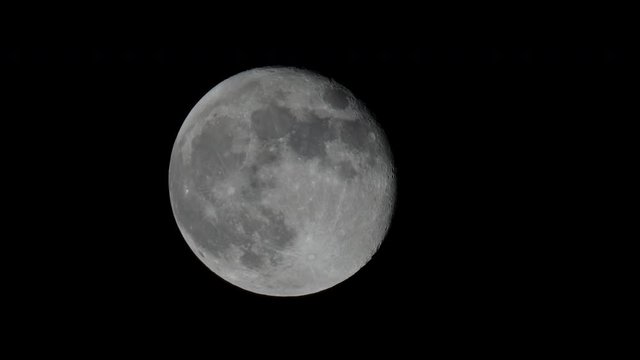 Luna Moon 