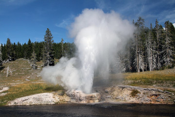 Fototapeta na wymiar View of Grand Geyser erupting in Yellowstone