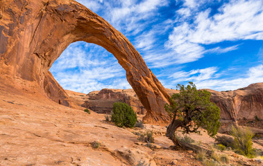 Corona Arch near Moab, Utah, USA