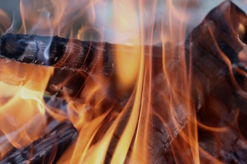 bonfire