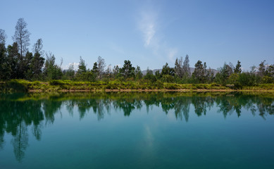 turquoise blue lake with pine trees