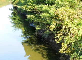 日本の田舎の風景　10月　川辺の風景　水鏡
