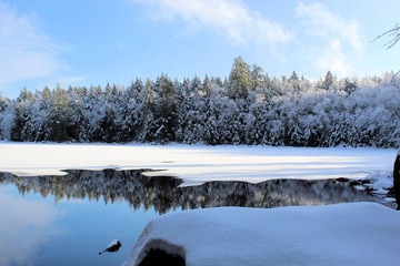 Crane Pond Winter