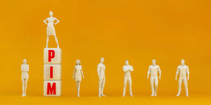 PIM Product Information Management