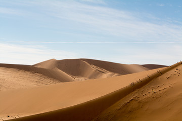 Fototapeta na wymiar Scenic View Of Desert