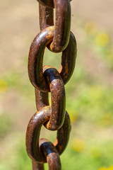 Metal rusty chain close-up, unfocused background of nature.