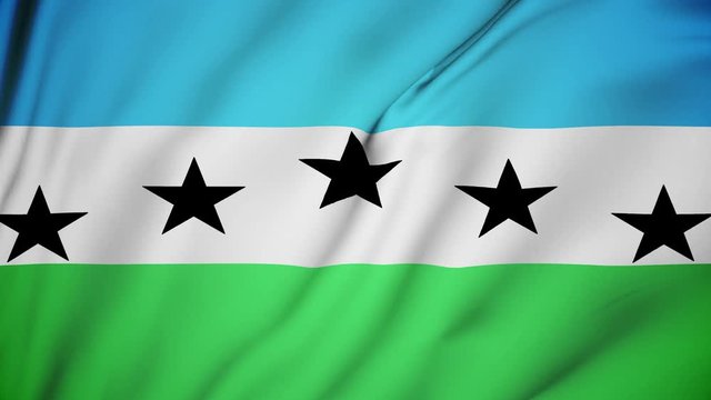 Firestone city of Colorado flag is waving 3D animation. Firestone of Colorado state flag waving in the wind. Firestone city flag seamless loop animation. 4K