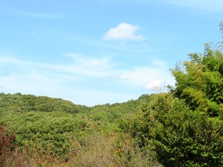 日本の田舎の風景　10月　山の木々と青空