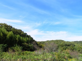 Fototapeta na wymiar 日本の田舎の風景　10月　山と青空