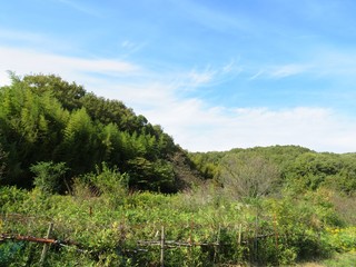 日本の田舎の風景　10月　山と青空